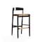 Manhattan Comfort Klismos Barstool in Camel and Dark Walnut BS014-CL - alternate 1